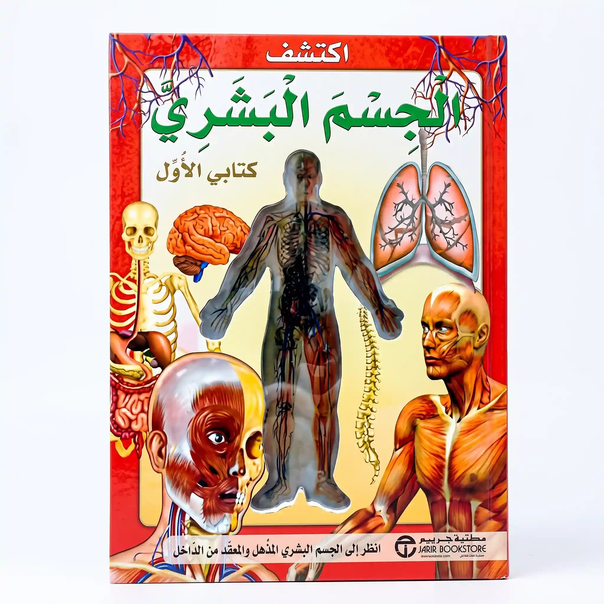 اكتشف الجسم البشري ثلاثي الابعاد
