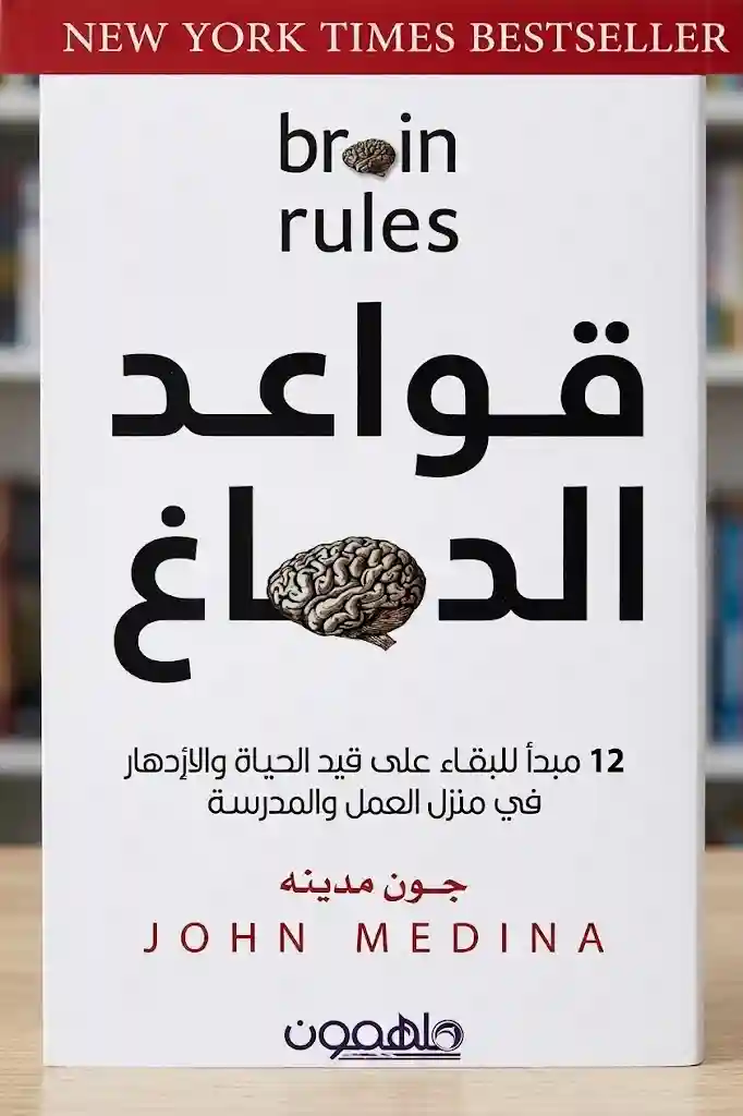 قواعد الدماغ